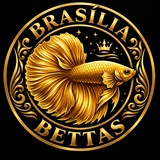 Logo Brasília Bettas SaaS