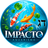 Logo Impacto Aquarismo